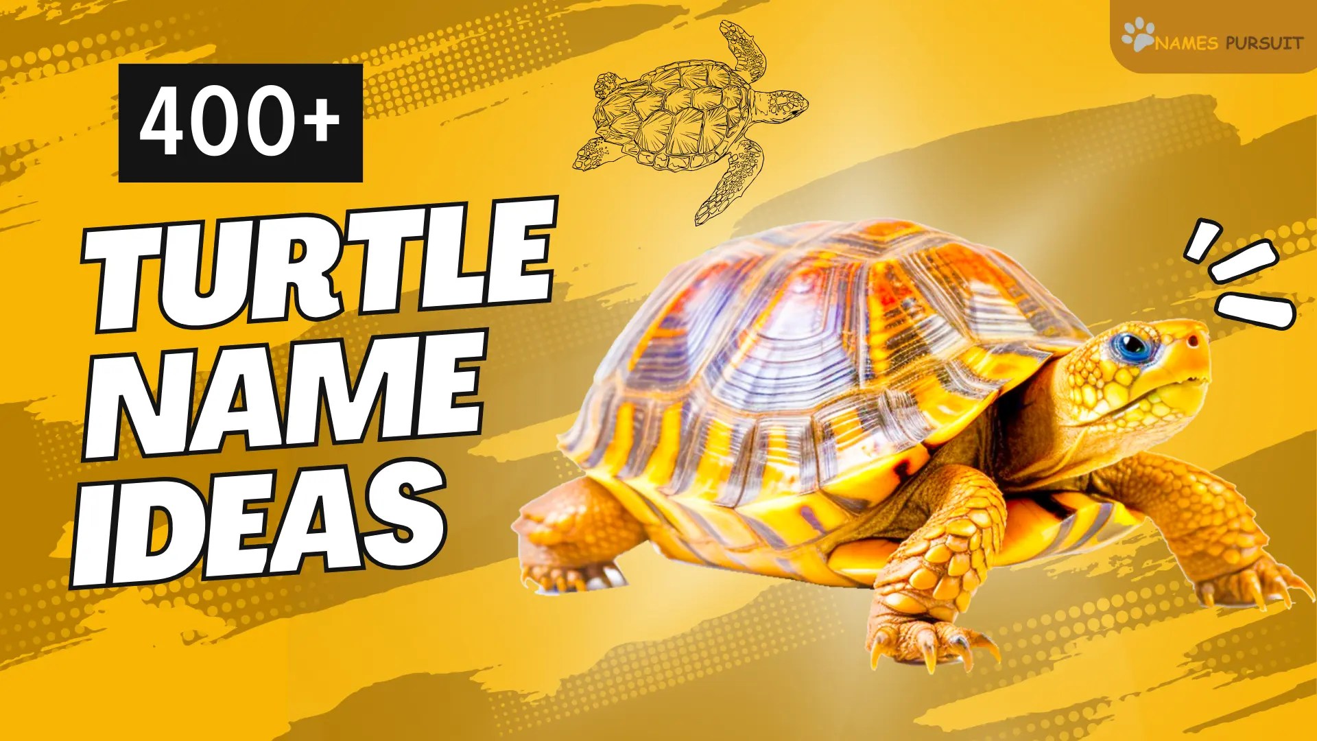 450+ Turtle Names Ideas Cute, Badass & Famous (AZ List)