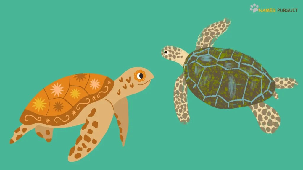 Top Girl Turtle Names (AZ, Famous, & Cute Ideas)