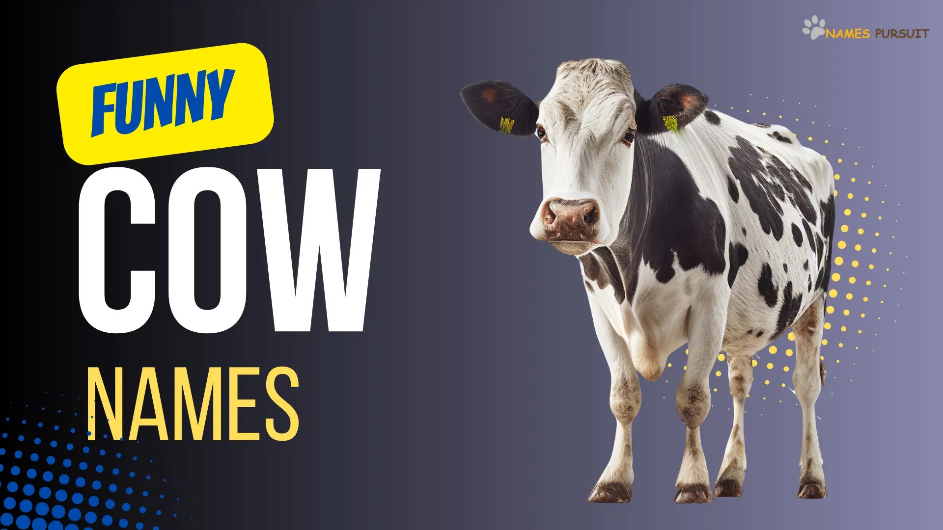 Funny Cow Names [450+ Hilarious & Comical Ideas]