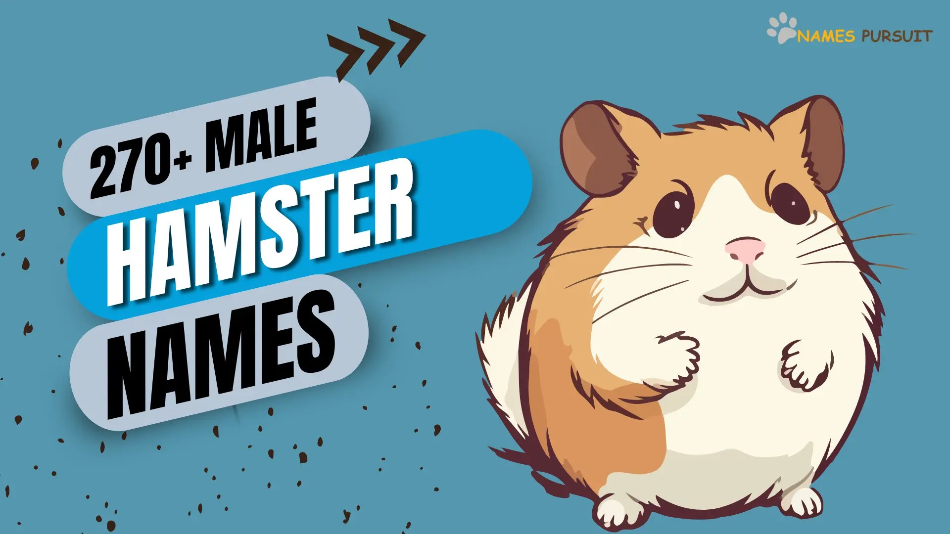 270+ Male Hamster Names [Cute, Funny, & Unique Ideas]