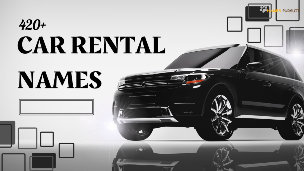 420+ Car Rental Names [Unique Ideas for Your Business]
