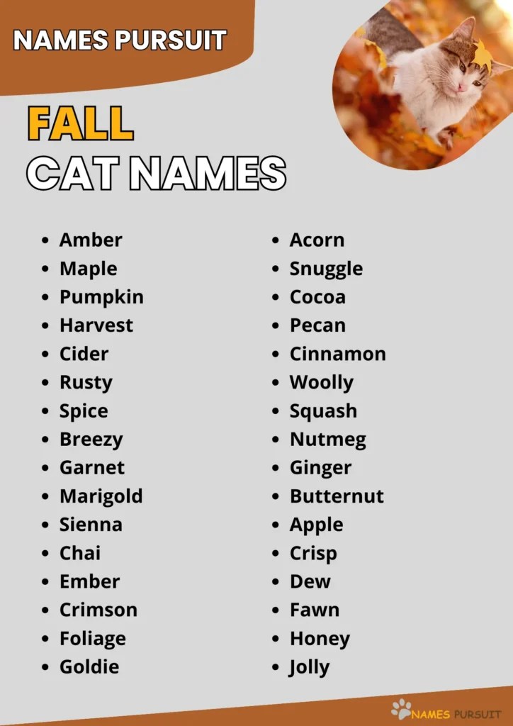 420+ Fall Cat Names [Fun AutumnInspired Ideas]
