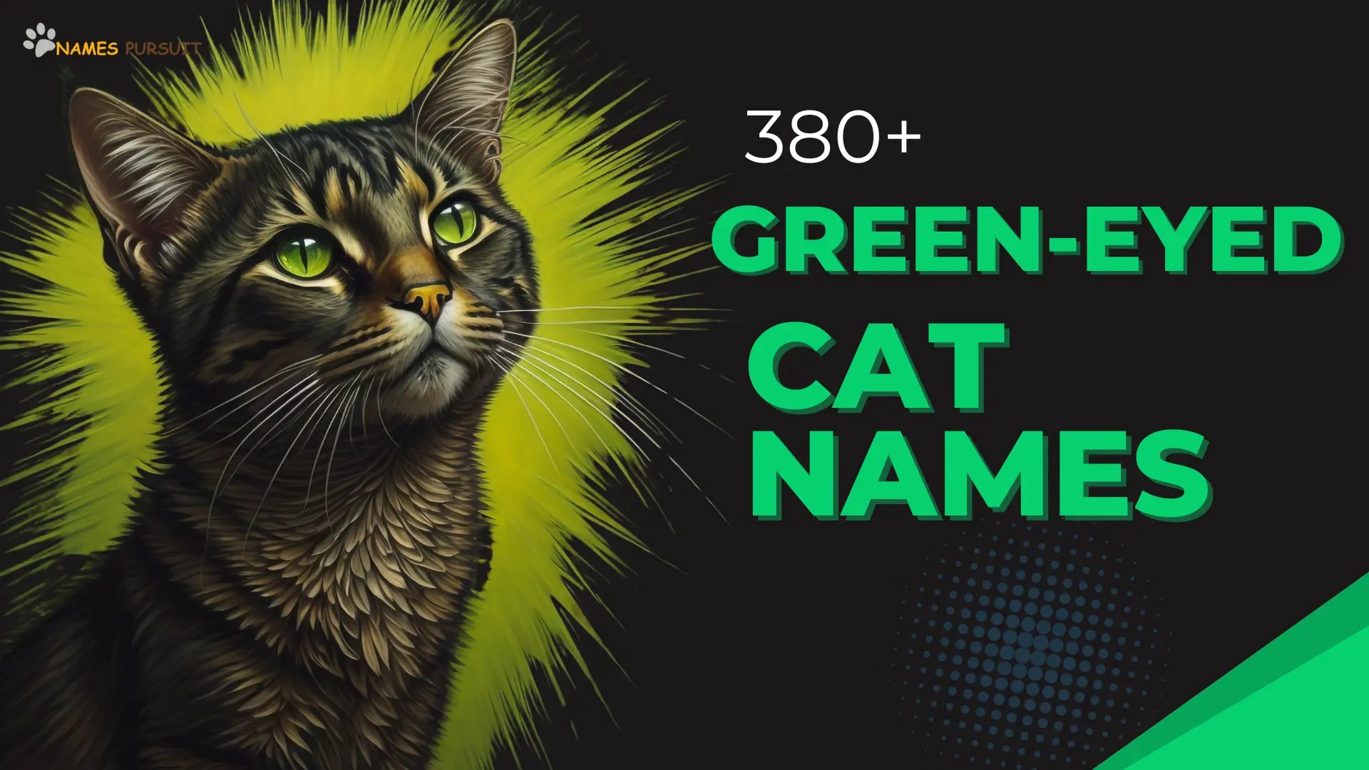 380+ GreenEyed Cat Names [Creative Naming Guide]