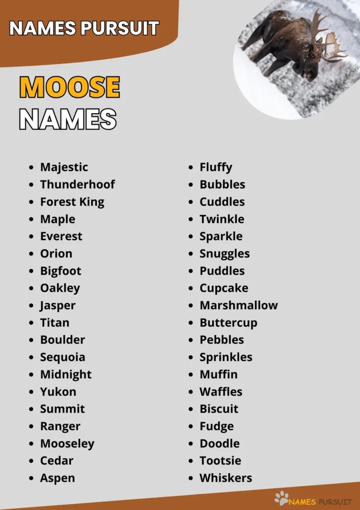 Moose Names [630+ Cute, Unique, & Funny Ideas]