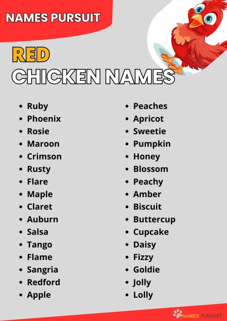 Red Chicken Names [240+ Adorable Ideas]
