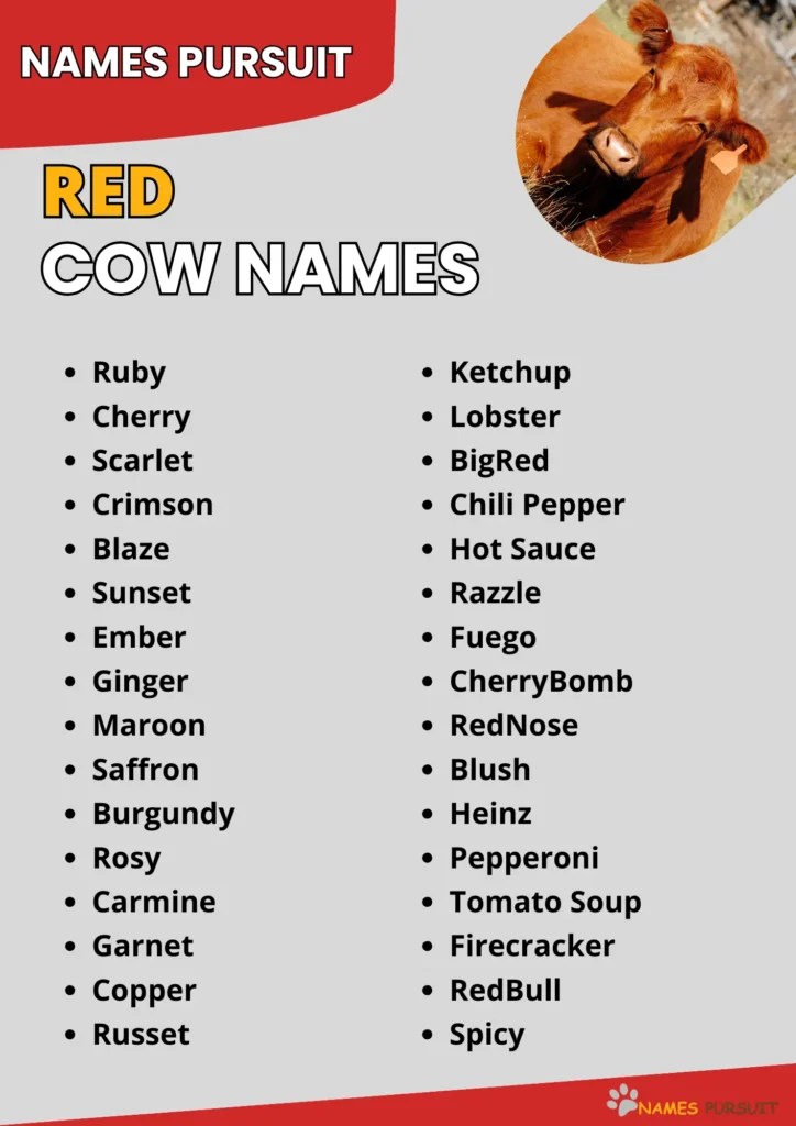 380+ Red Cow Names (Cute, Funny, & Unique)