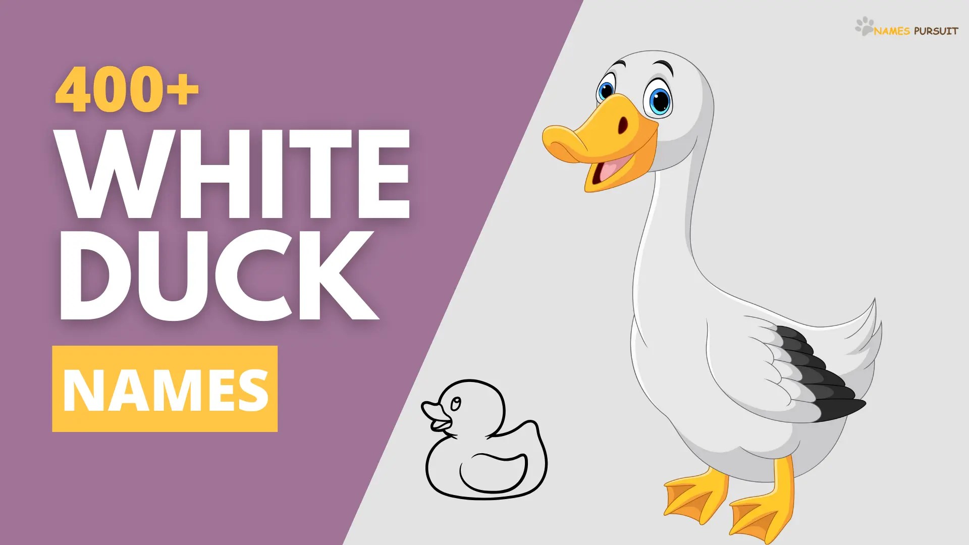400+ White Duck Names Find the Perfect Fit!