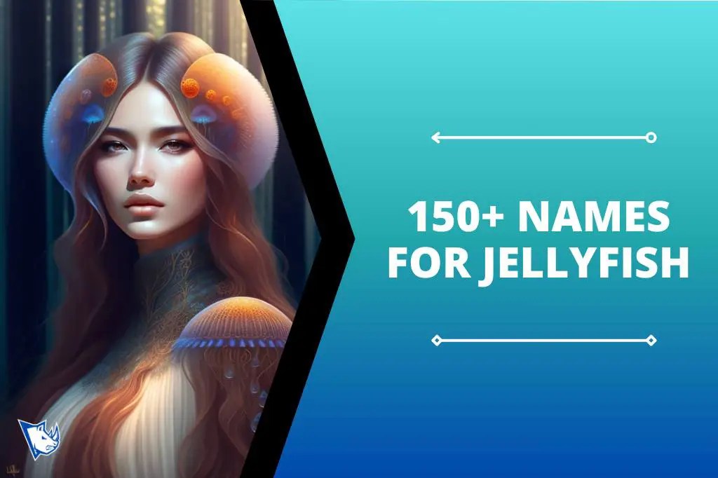 150+ Names For Jellyfish That Are Cute, Cool & Creative NamesRhino