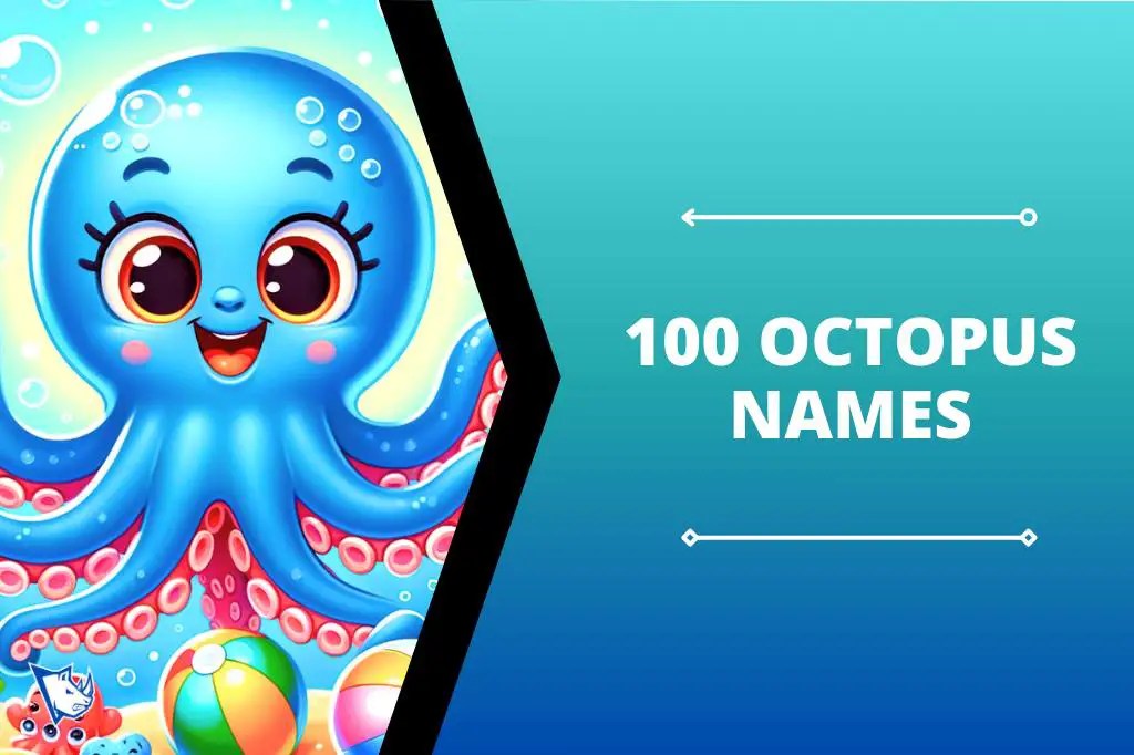 100 Octopus Names Awesome Ideas NamesRhino