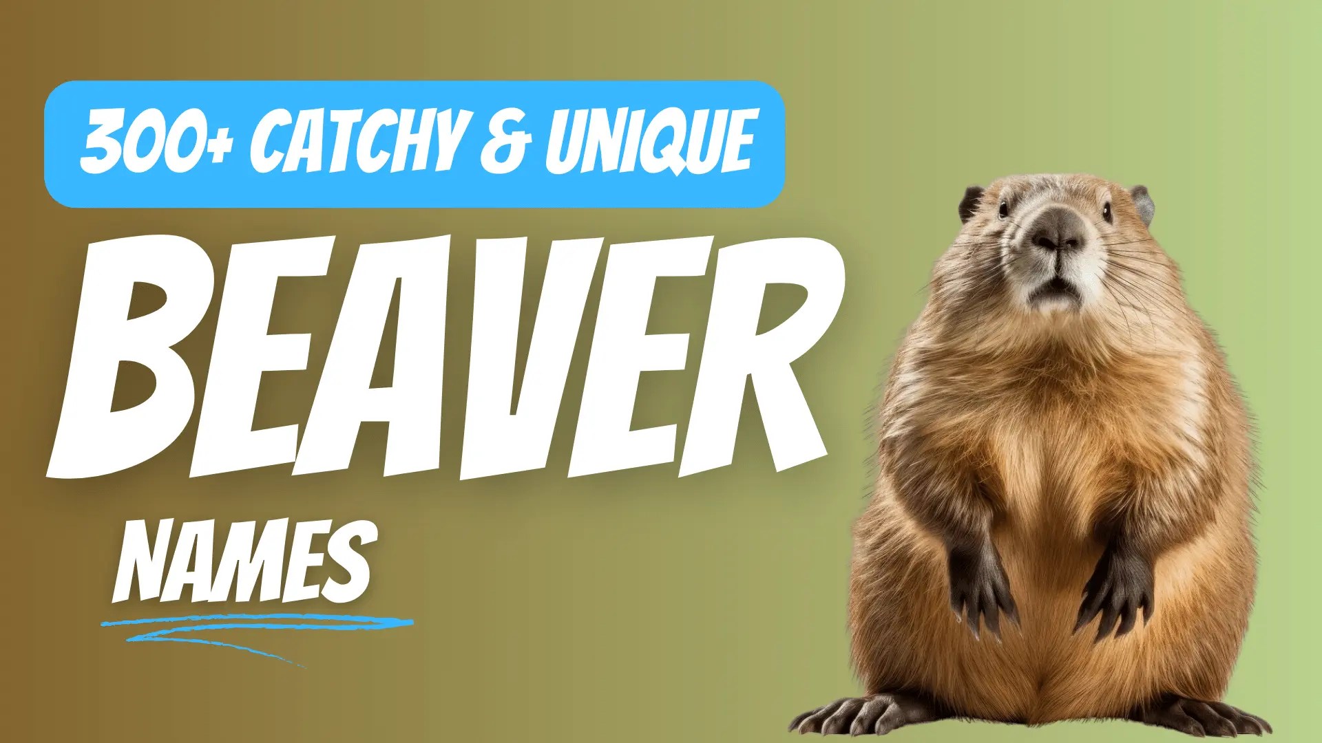 300+ Catchy & Unique Beaver Names [Meaningful Ideas]