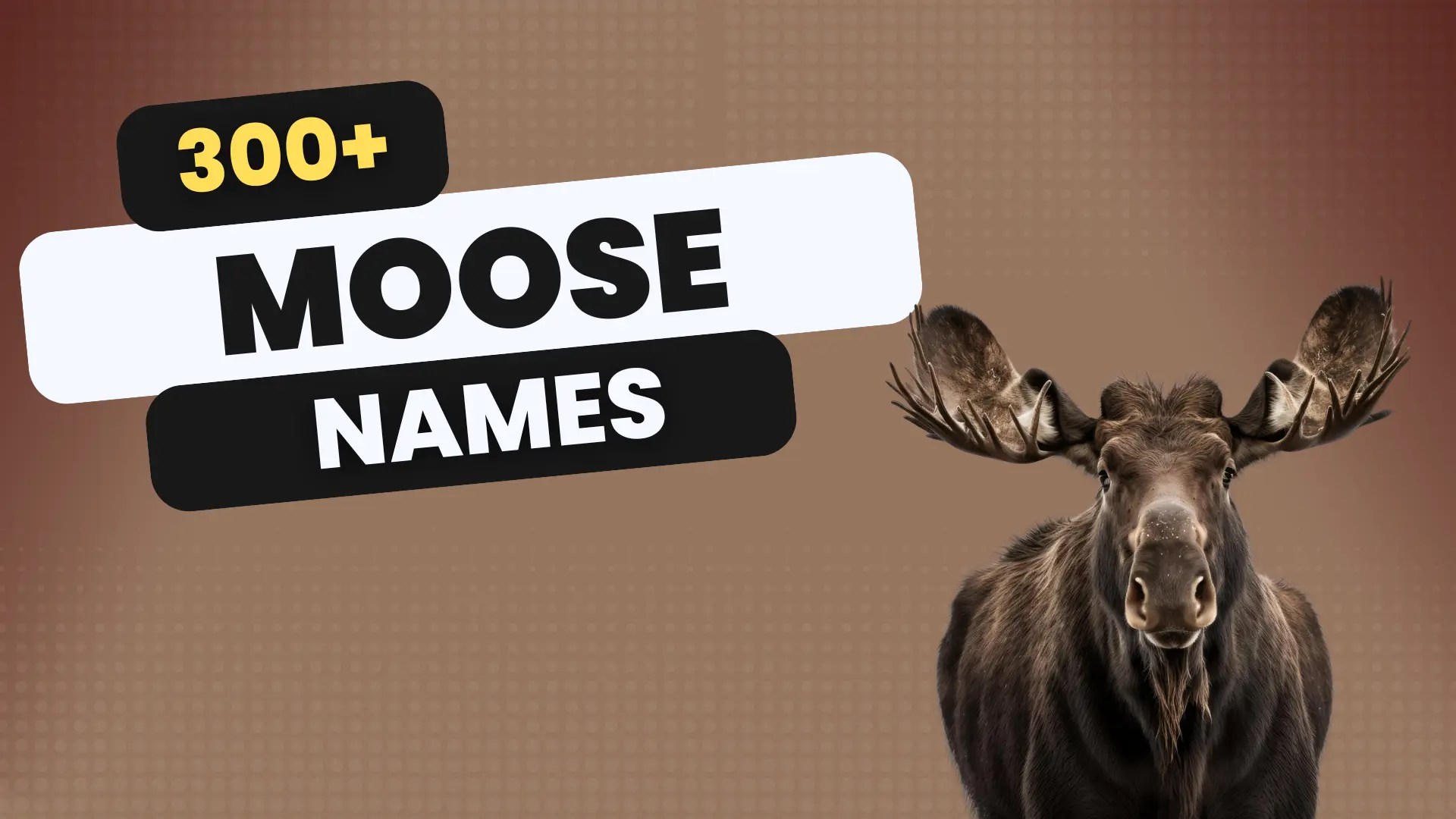 300+ Best Moose Names with Meaning