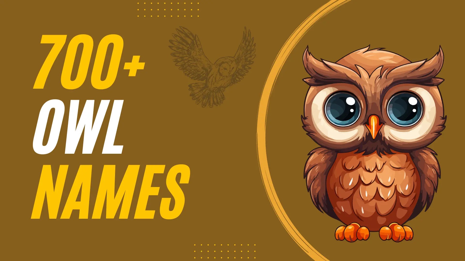 271+ Cute Owl Names for Your Pet (& Generate Yours)