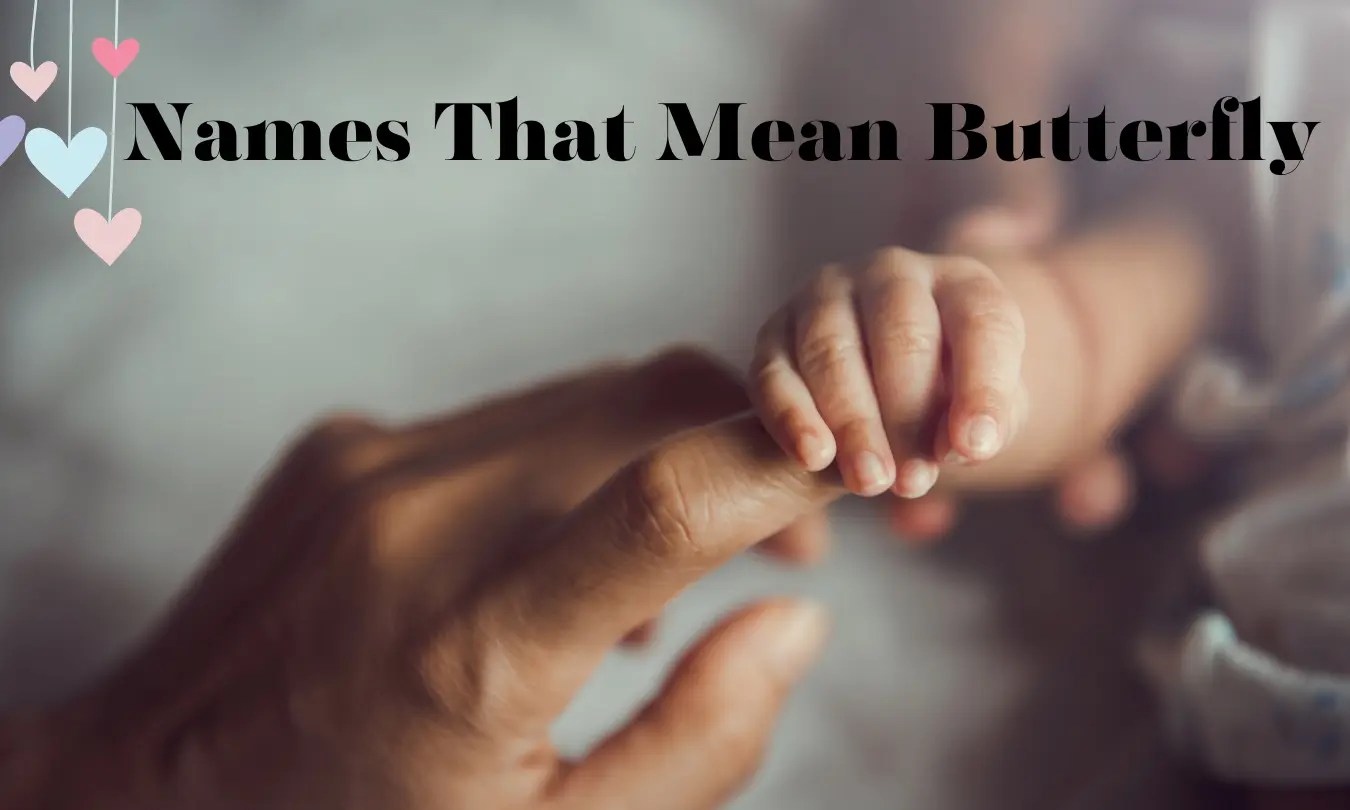 56+ Pretty Baby Names That Mean Butterfly Name That Mean