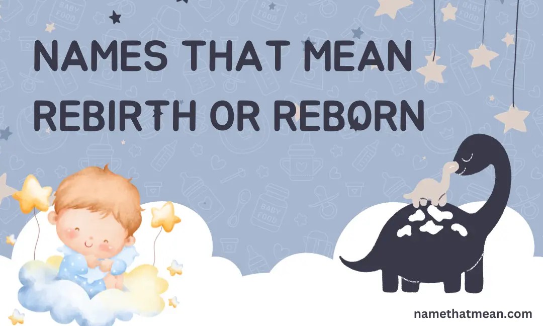 Baby Names That Mean Rebirth or Reborn in 2024 Name That Mean