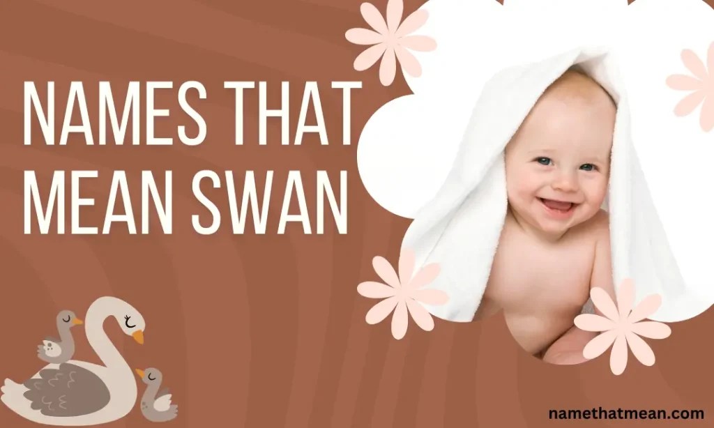 51 Cute Baby Names That Mean Swan Name That Mean