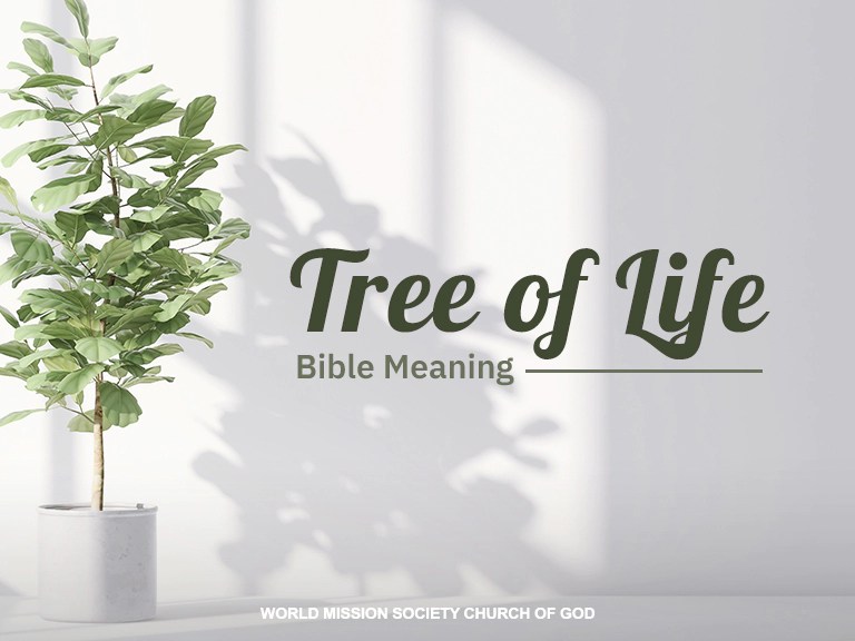 The Tree of Life in the Bible World Mission Society Church of God Namibia WMSCOG