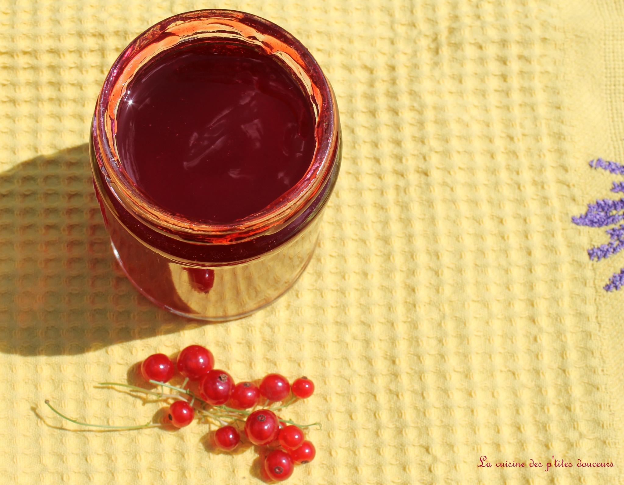 gelée de groseille avec extracteur de jus