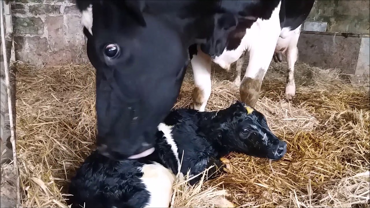 13 Amazing Things My Grandmother's Life Taught Me