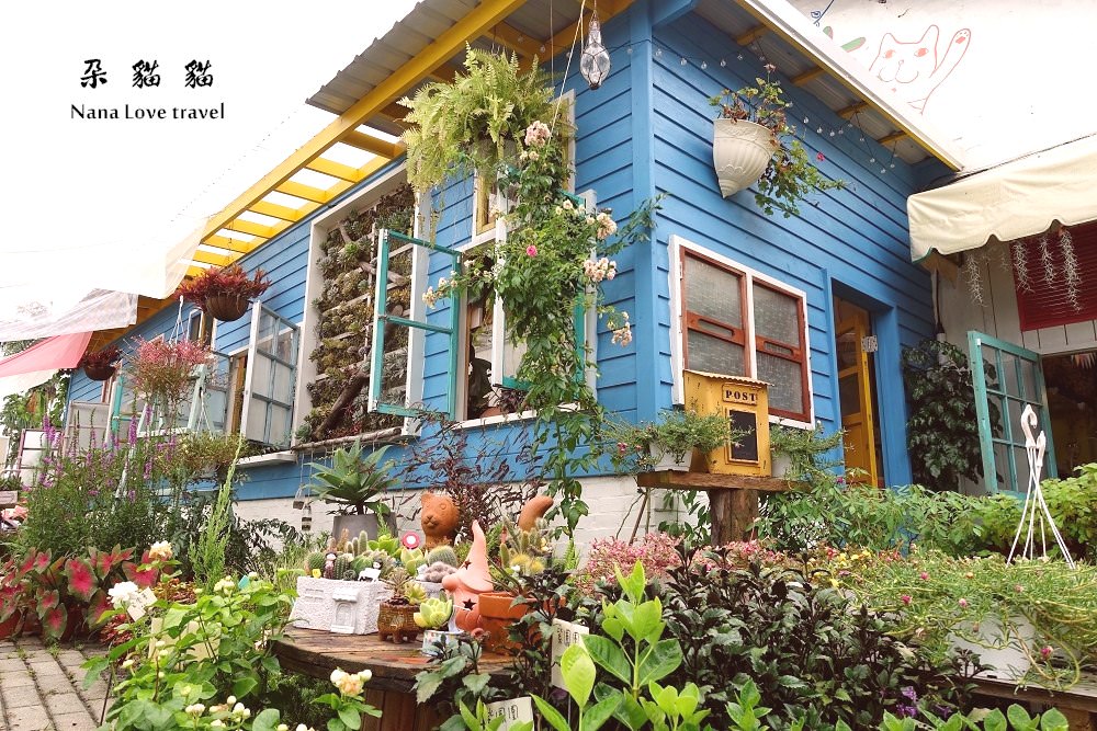 南投中興新村》朵貓貓。超療癒的乾燥花,綠色植栽花店,走進女孩的夢幻世界,藍色鄉村小屋超好拍打卡點!