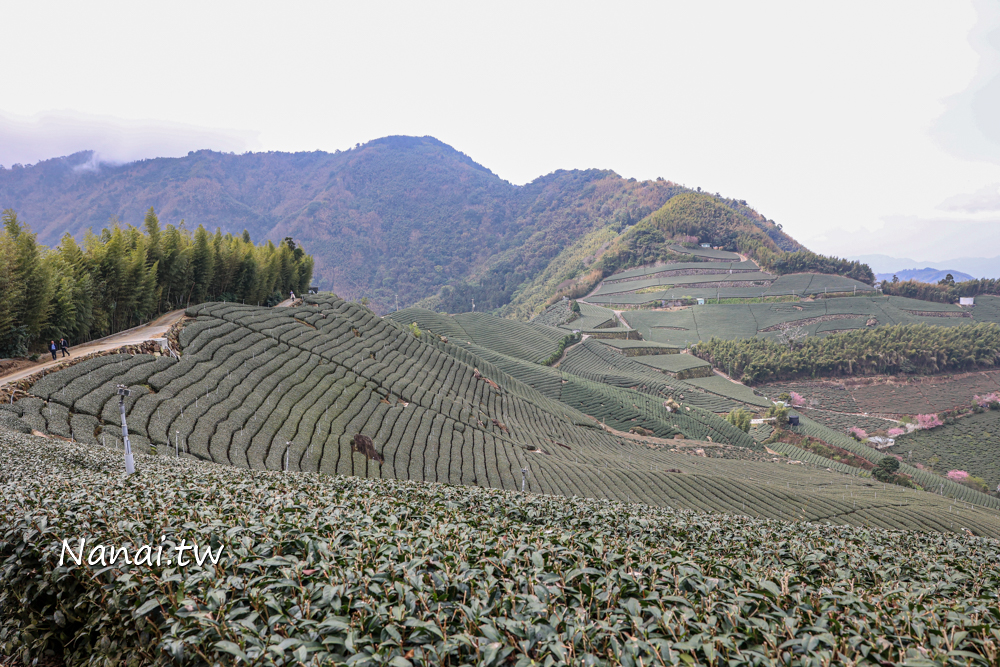 嘉義梅山推薦大風埕觀日峰，太和私房秘境，1420一世愛你觀景台
