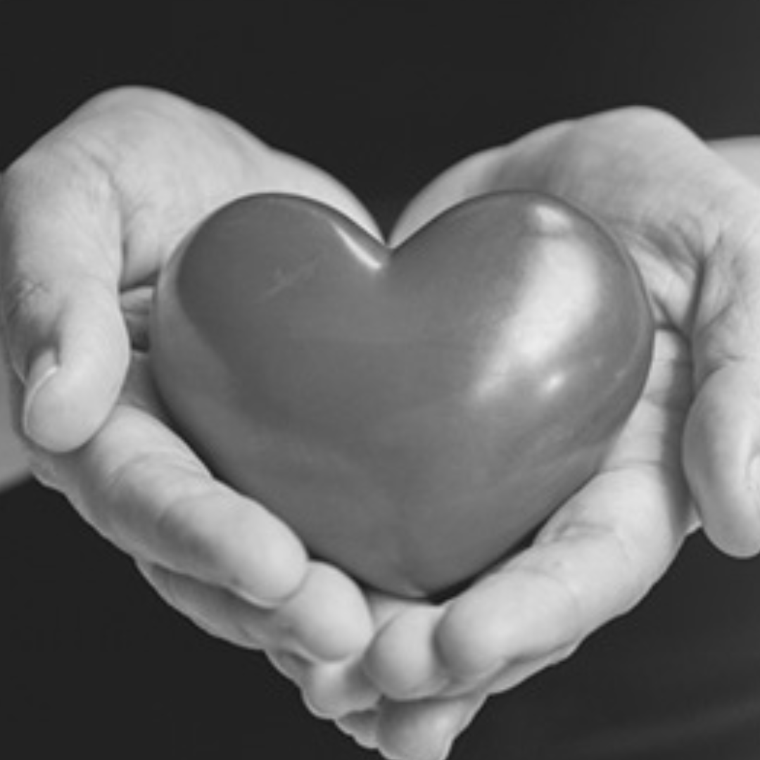 We are at Tanger National Harbor Nanas House