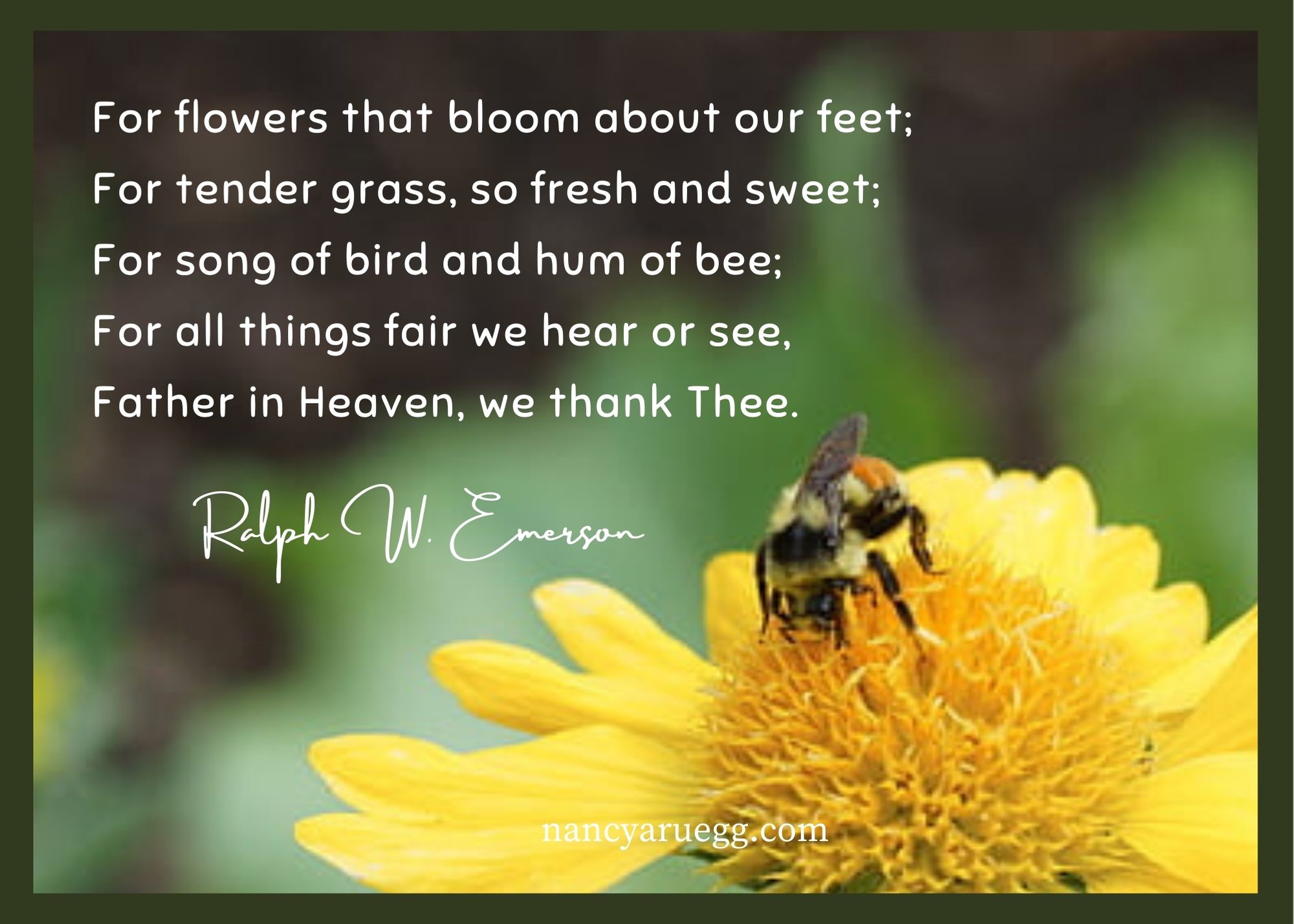 Cinquain Poem About Flowers