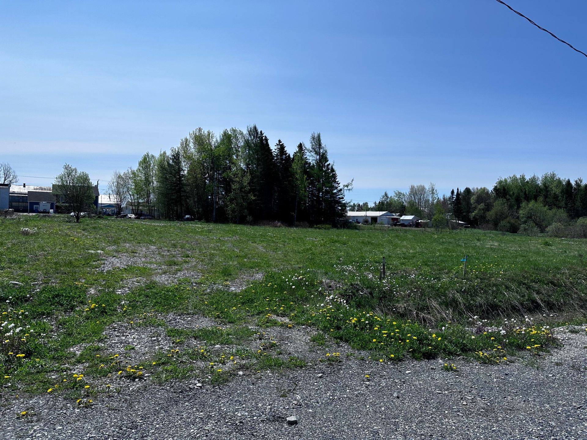 Rue AlphonsePoulin, SaintCamilledeLellis Nancy Auclair et Chloé