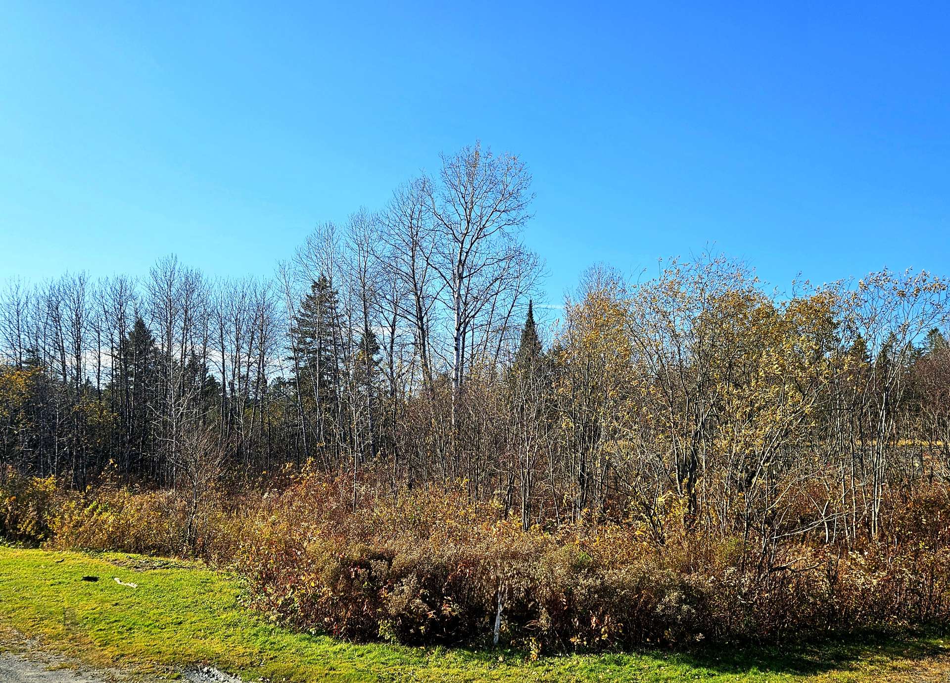 Rue Fortin, LacEtchemin Nancy Auclair et Chloé Goupil, courtiers en
