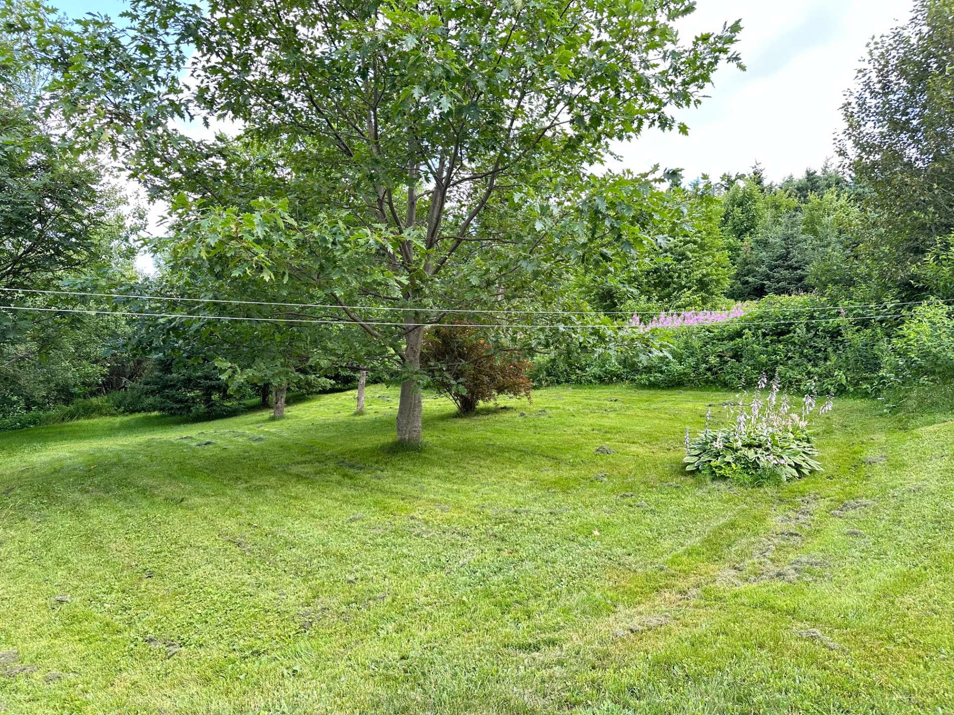 91, Rue Principale, SaintMagloire Nancy Auclair et Chloé Goupil