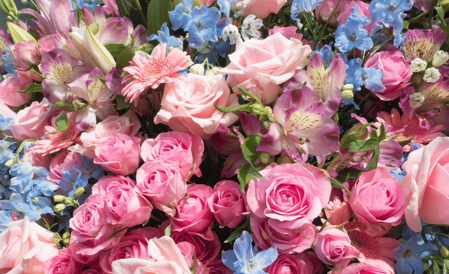 Hilarious Flower Puns To Brighten Your Day Nancy Badillo