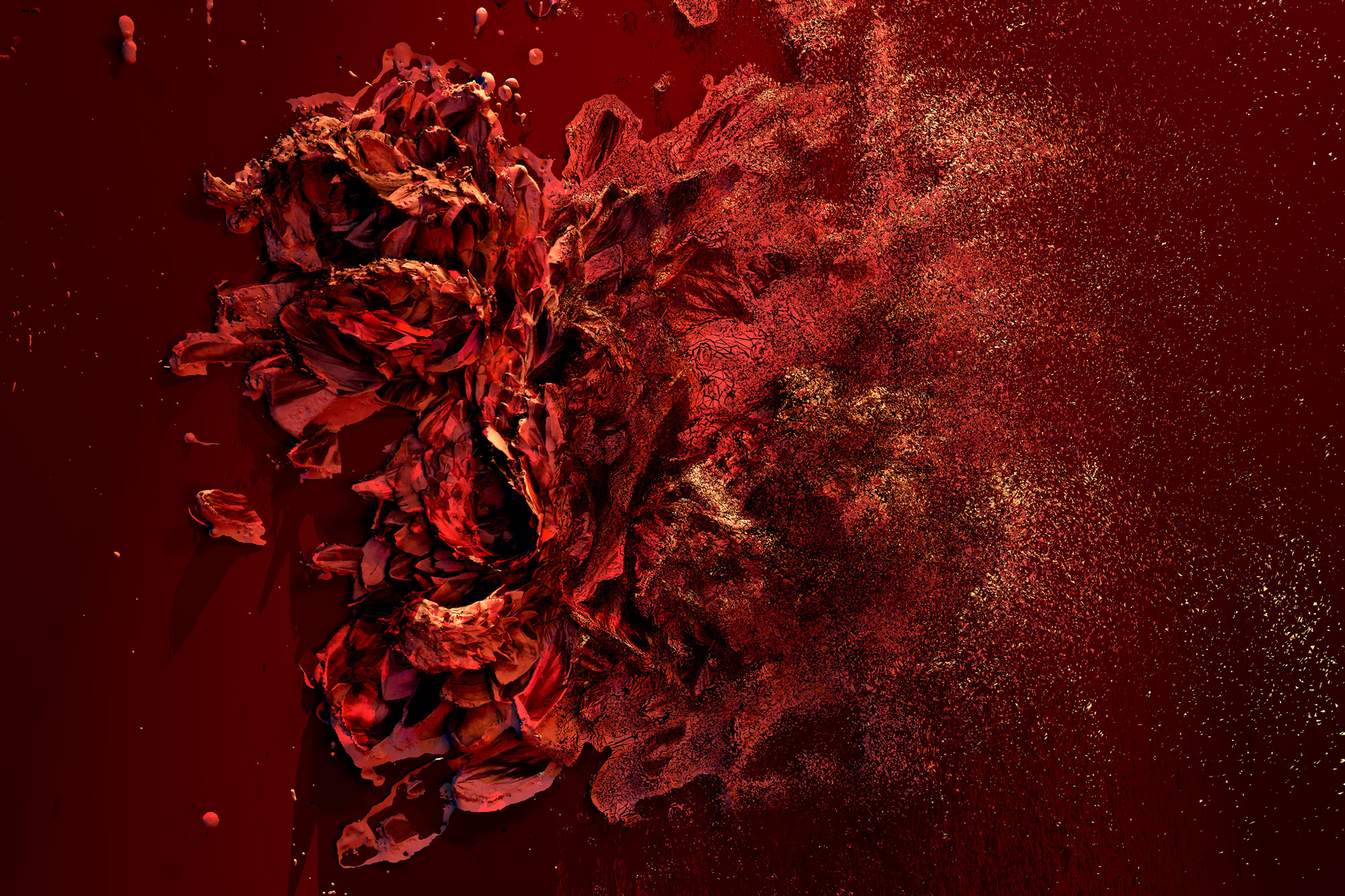 Slipstream Prints Nancy Baker Cahill