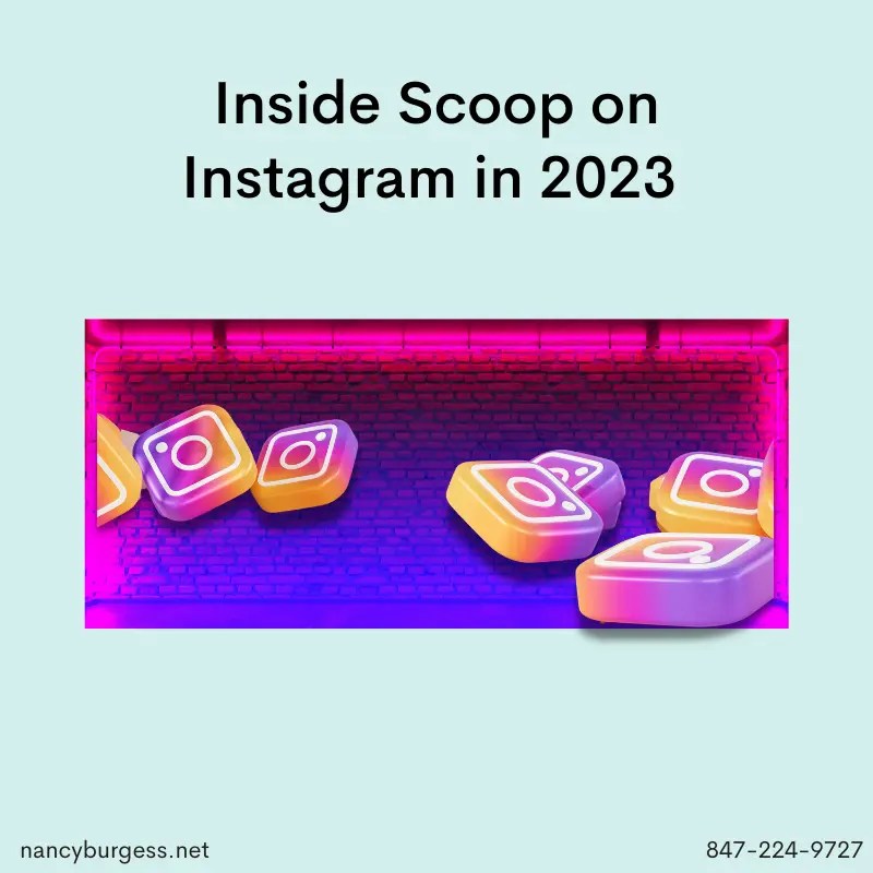 Inside Scoop On Instagram Nancy Burgess Strategic Marketing Inc.