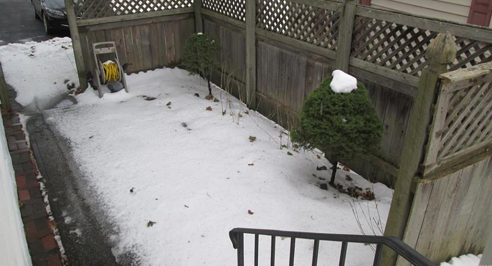 Thompson Park, exceptional quality construction Nancy D. Storino Real