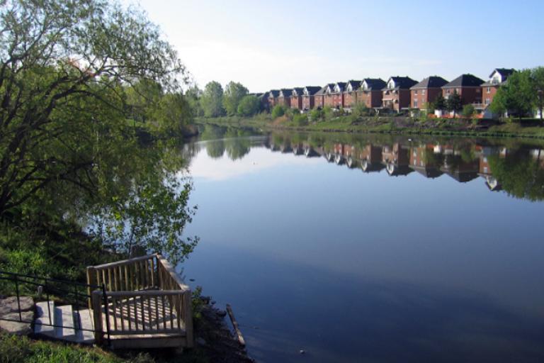 Nancy Forlini Team RE/MAX Certified Real Estate Broker