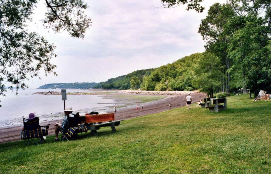 Équipe Nancy Forlini Courtier immobilier agréé RE/MAX