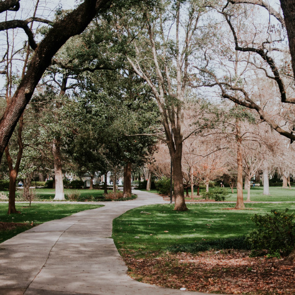 Équipe Nancy Forlini Courtier immobilier agréé RE/MAX