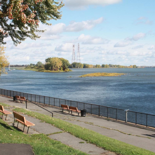 Équipe Nancy Forlini Courtier immobilier agréé RE/MAX