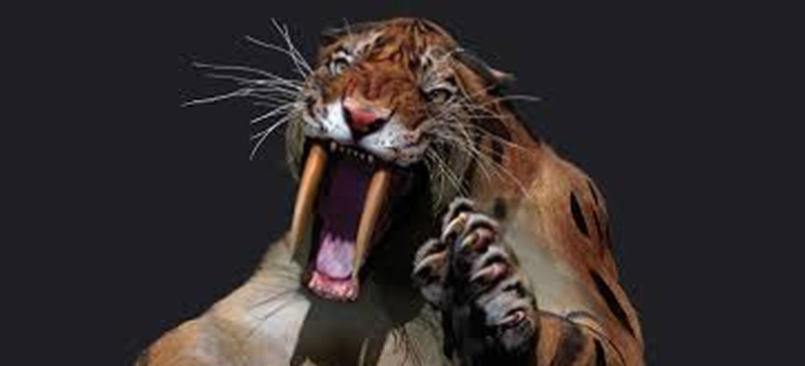 Are You Creating Your Saber Tooth Tigers? Nancy Fredericks International