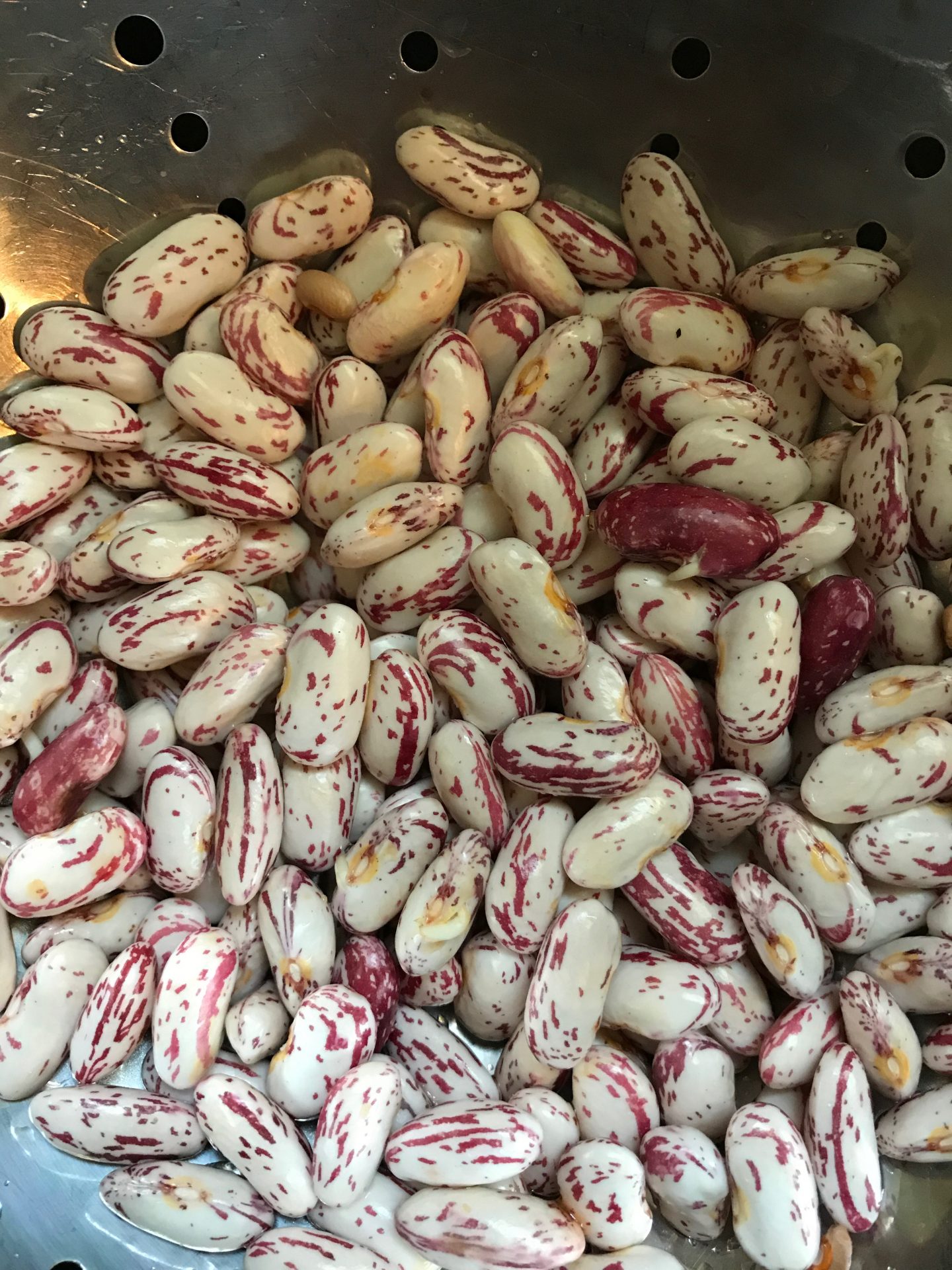 Mediterranean diet Beans & Legumes Nancy Harmon Jenkins