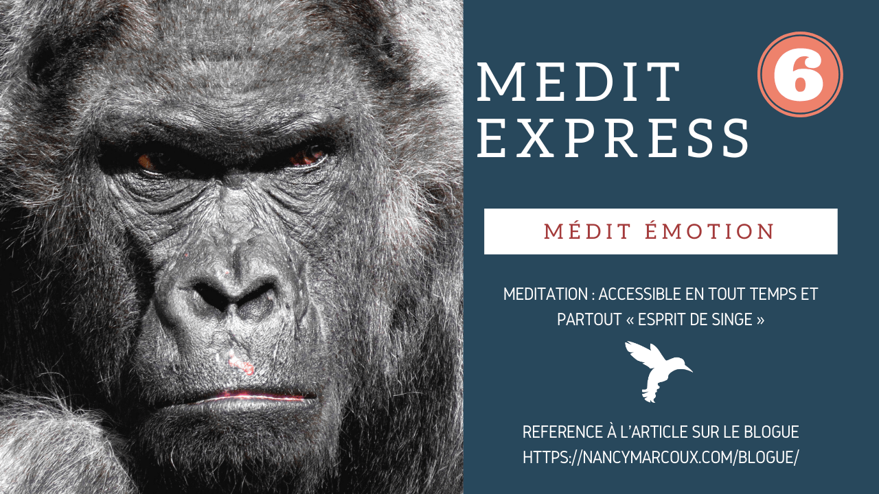 « Médit Émotions » Méditation Accessible en tout temps et partout « Esprit de singe » Nancy