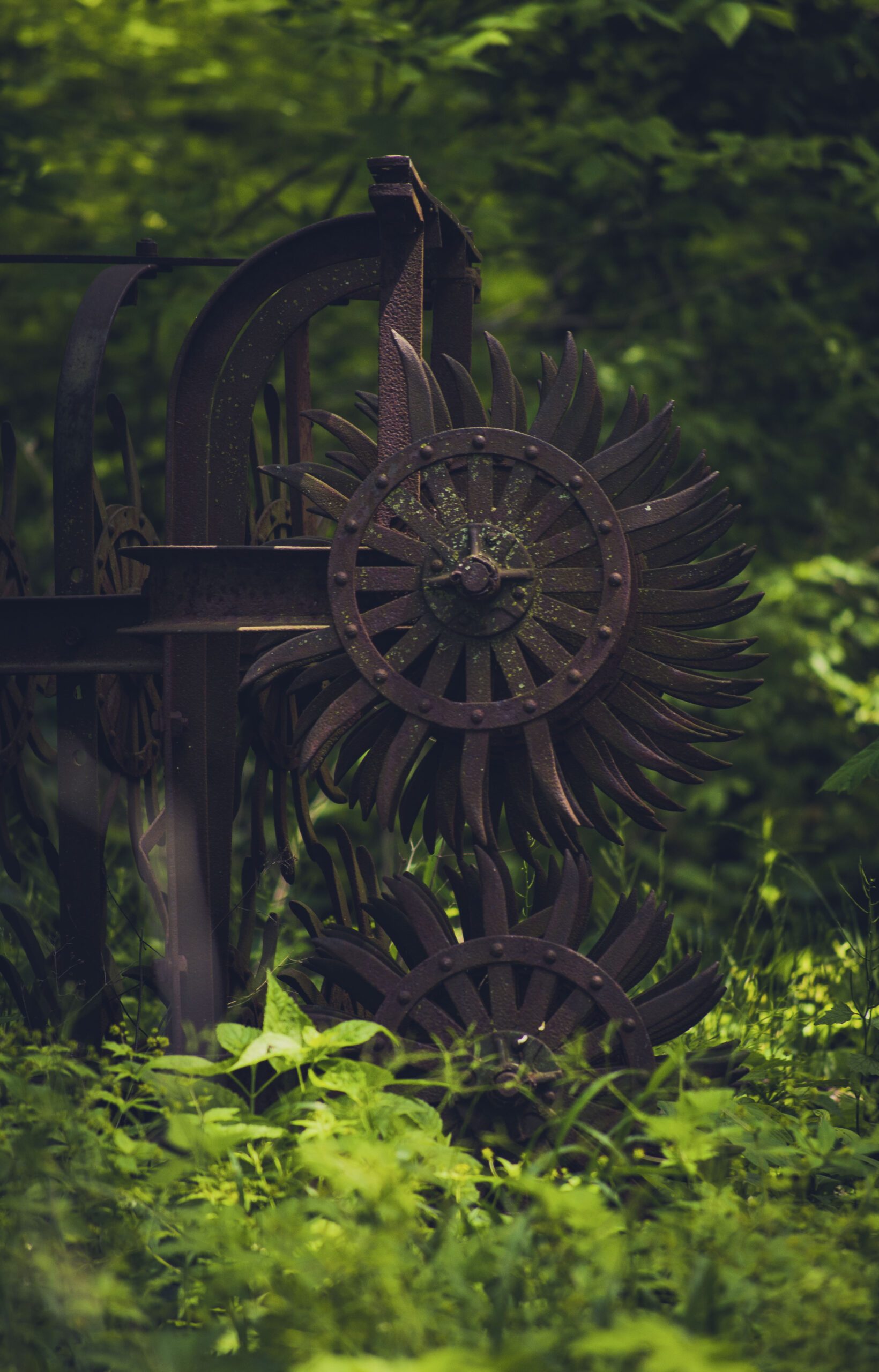 Patty Bell Left Behind 4th Fridays Photo Contest July 2022