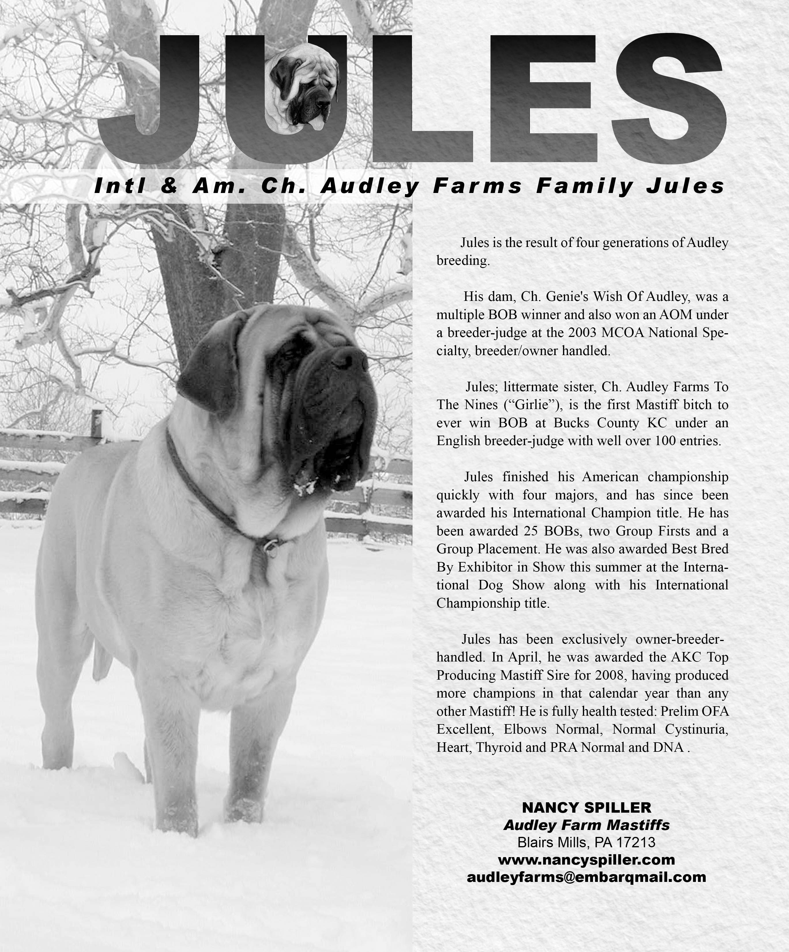Jules Spiller Mastiffs of Audley Farms