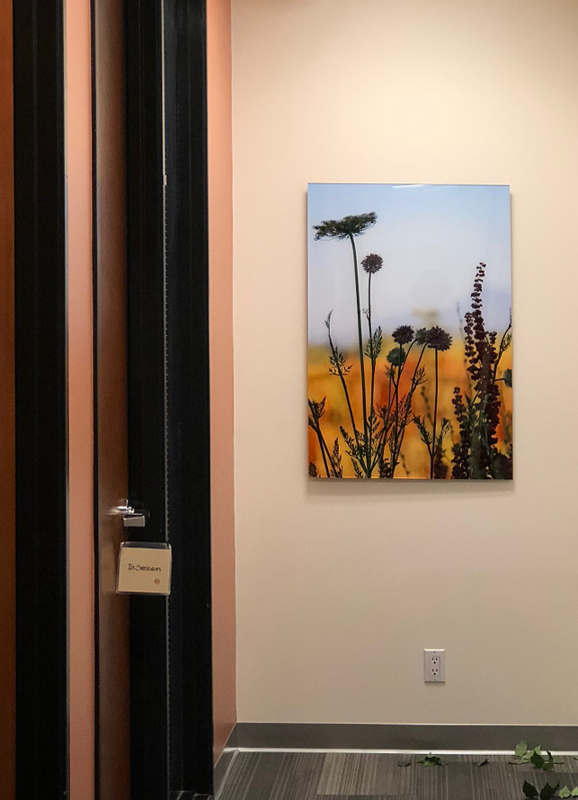 Kaiser Psychiatry & Behavioral Health Nancy Witherell Art