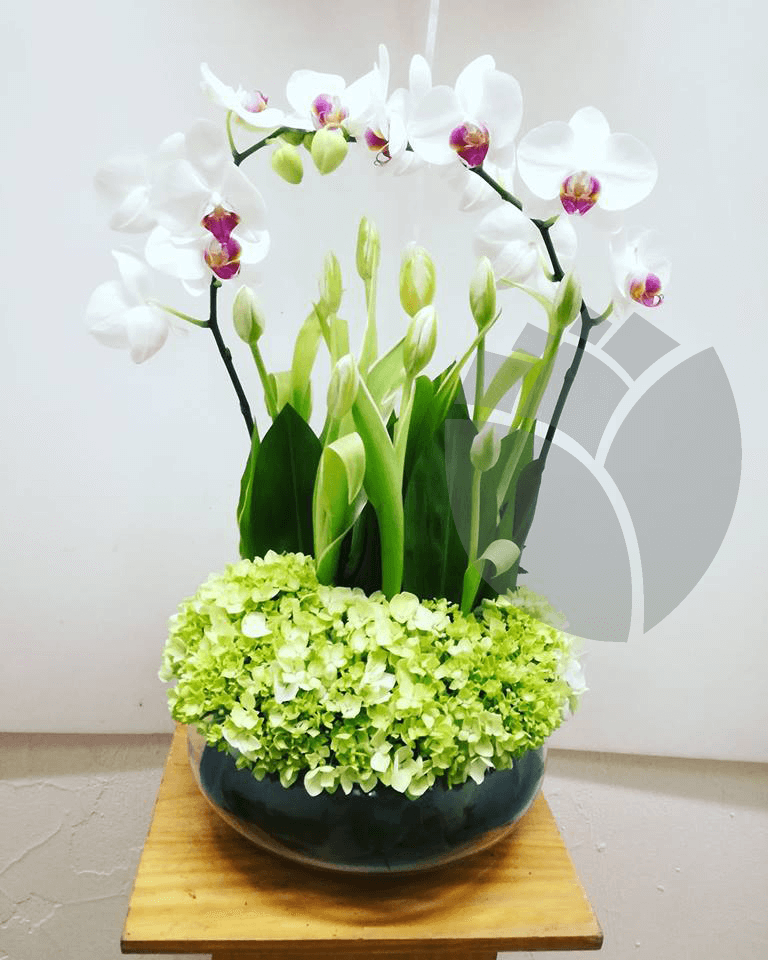 TO102 Arreglo floral con base de cristal tulipanes y orquídeas