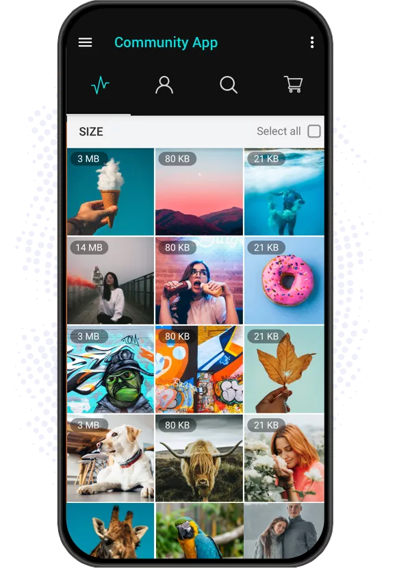 Build Community Apps With No Code nandbox