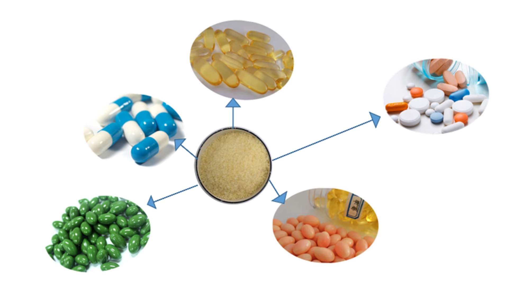 Gelatin & Collagen Types and Its Application NNE
