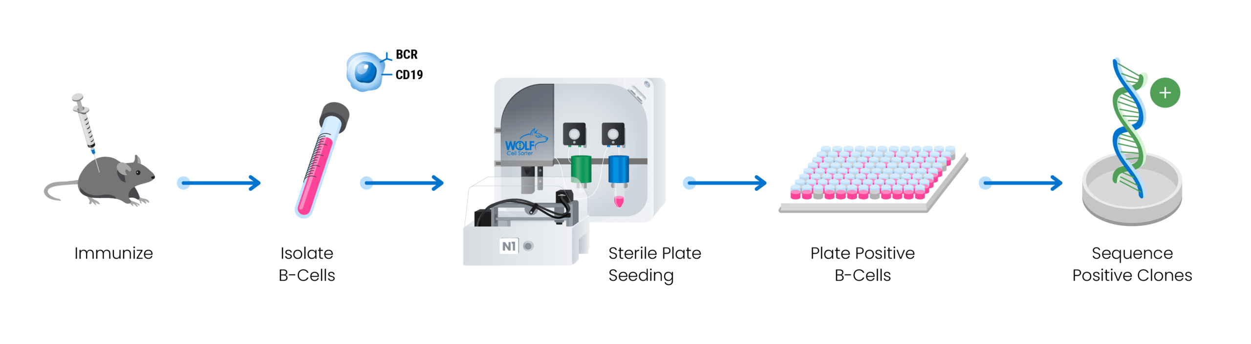 Antibody Discovery & Development NanoCellect