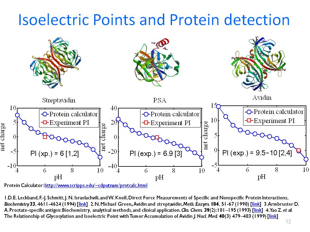 How To Calculate Isoelectric Point Of A Protein