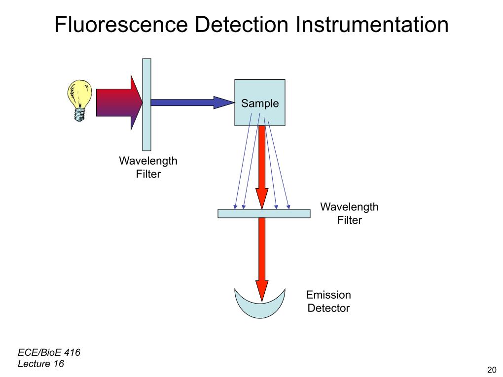 Resources [Illinois] ECE 416 Fluorescence II Watch