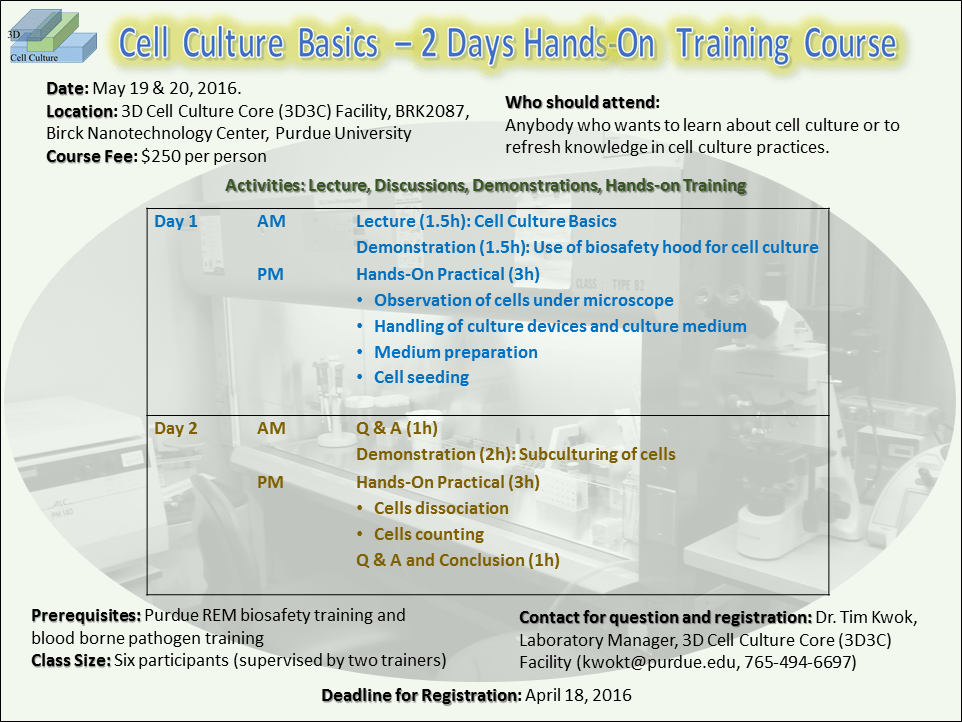 Group 3D CELL CULTURE Training